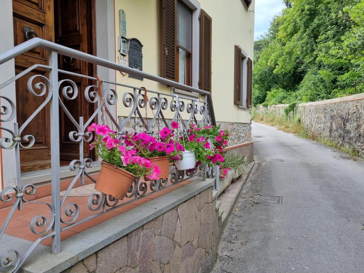 A Collodi Io & Mamma Bed & Breakfast Bagian luar foto